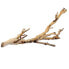 EXO TERRA Forest branch Коричневый, 30 cm - фото #1