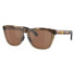 OAKLEY Frogskins Range Polarized Sunglasses