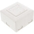 Фото #4 товара InLine Cat.6 Wall Outlet Box surface or flush mount 2x RJ45 horizontal