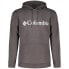Фото #1 товара COLUMBIA CSC Basic Logo™ II hoodie