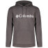 Фото #1 товара COLUMBIA CSC Basic Logo™ II hoodie