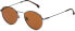 Фото #2 товара Carrera Unisex sunglasses