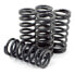 Фото #1 товара DP BRAKES HDS74-4 Kawasaki KX85/KX80 Clutch Spring Kit 4 Units