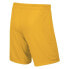 Фото #2 товара Детские футбольные шорты Nike Park II Knit Short NB Junior.