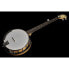 Фото #9 товара Gold Tone CC-100R 5 String Banjo