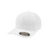 FLEXFIT Pintripe Basic cap Белый / темно-синий, L-XL - фото #1