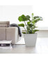 Фото #3 товара Rotterdam Durable Indoor and Outdoor Planter, 16in