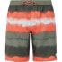 PROTEST Abel Swimming Shorts