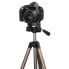 Фото #9 товара HAMA Star 75 Tripod