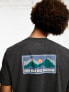 Kavu All The Fun t-shirt in black