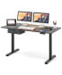 Фото #1 товара Electric Standing Desk 55'' x 28'' Height Adjustable Sit Stand with USB Charging Port
