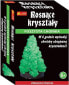 Ranok Rosnące kryształy. Puszysta choinka zielona