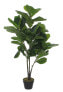 Фото #2 товара Kunstpflanze Ficus Lyrata