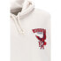 Фото #4 товара RUSSELL ATHLETIC E36382 hoodie