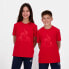 ფოტო #1 პროდუქტის LE COQ SPORTIF Bat N°3 short sleeve T-shirt