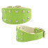 YOUPET Greyhound Fant 35x5 cm Dog Collar