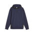 Фото #1 товара PUMA Rad/Cal Dk hoodie