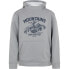 Фото #1 товара PROTEST Prtkestrel hoodie