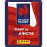 Хромовый комплект Panini France Rugby