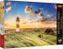 Фото #6 товара Trefl Puzzle 1000 elementów Premium Plus Latarnia w List Niemcy