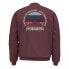 Фото #2 товара NAPAPIJRI B-Telemark sweatshirt