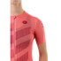 AGU High Summer III Trend short sleeve jersey