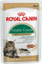 Фото #1 товара Влажный корм Royal Canin Maine Coon для взрослых кошек породы Maine Coon 12x85 г