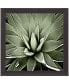 Фото #1 товара Green Succulent III Framed Art