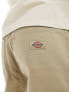 Dickies duck canvas carpenter trousers in desert sand