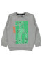 Фото #15 товара Erkek Çocuk Sweatshirt 2-5 Yaş Gri