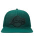 Men's Forest Green Los Angeles Lakers Tonal Logo Snapback Hat