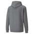 PUMA Amplified hoodie