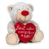 LOVELY Bear 22 cm Teddy Assorted