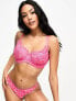 Фото #1 товара Ivory Rose Fuller Bust bold floral lace balconette bra in hot pink