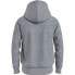 Фото #2 товара TOMMY HILFIGER Monotype Roundall hoodie