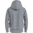 Фото #3 товара TOMMY HILFIGER Monotype Roundall hoodie