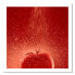 Leinwandbild Rot Tomate im Wasser
