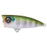 Фото #4 товара SHIMANO FISHING Bantam Chug Walker Popper 62 mm 8g