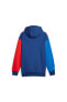 Erkek BMW Logo Kapşonlu Sweatshırts BMW MMS Graphic Hoodie Pro Blue-M Color 62122704