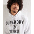 SUPERDRY Corporate Logo Foil hoodie