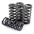 Фото #1 товара DP BRAKES HDS96-5 Kawasaki KZ125 Clutch Spring Kit 5 Units