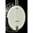 Фото #13 товара Gold Tone IT-250-F Irish Tenor Banjo w/C