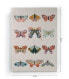 Фото #5 товара Leinwand 60x40 Schmetterlinge 1
