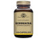 Фото #12 товара ECHINACEA 100 capsules