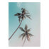 Фото #2 товара Wandbild Miami Palms