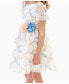 ფოტო #2 პროდუქტის Toddler Girls 3D Floral Embroidered Social Dress
