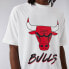 Фото #7 товара NEW ERA Chicago Bulls NBA Script Mesh short sleeve T-shirt