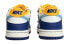 Nike Dunk Low GS DV1693-401 Sneakers