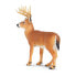 Фото #4 товара SAFARI LTD Whitetail Buck Figure
