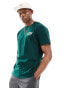 Фото #2 товара Hollister relaxed fit t-shirt with destination back print in dark green